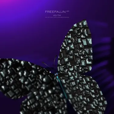 Hör dir „Freefallin (Kamilo Sanclemente Remix)“ von Veytik & Kamilo Sanclemente an